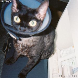 情侣怕怕小视频大全免费观看
